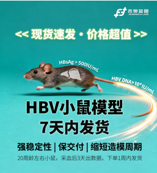 新聞圖片3