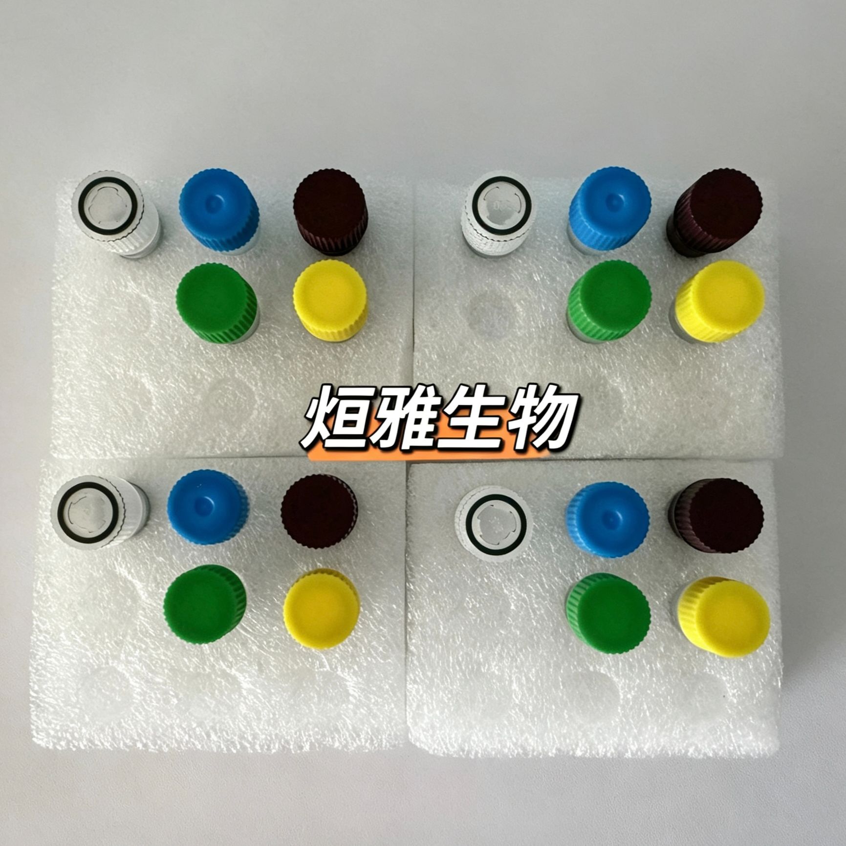 鹅流感病毒通用型(GIV-U)核酸检测试剂盒(荧光PCR法)产品图