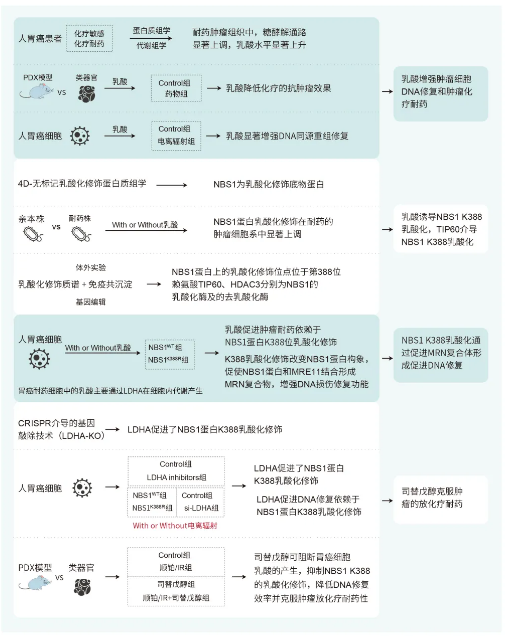 新闻图片4