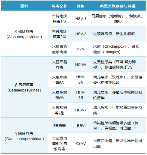 「DIFF CRO」解码疱疹病毒对抗体防御的‘隐身术’：从基础机制到疫苗研发新范式