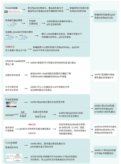 新闻图片6