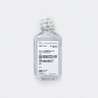 10mM Tris盐酸盐缓冲液 pH 8.510mM Tris-HCl Buffer pH 8.5