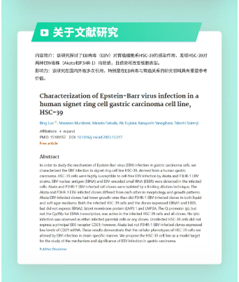 新聞圖片4