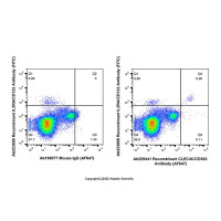 Recombinant CLEC4C/CD303 Antibody (AF647) ,重组,ExactAb™,已验证,5 μL/test,阿拉丁
