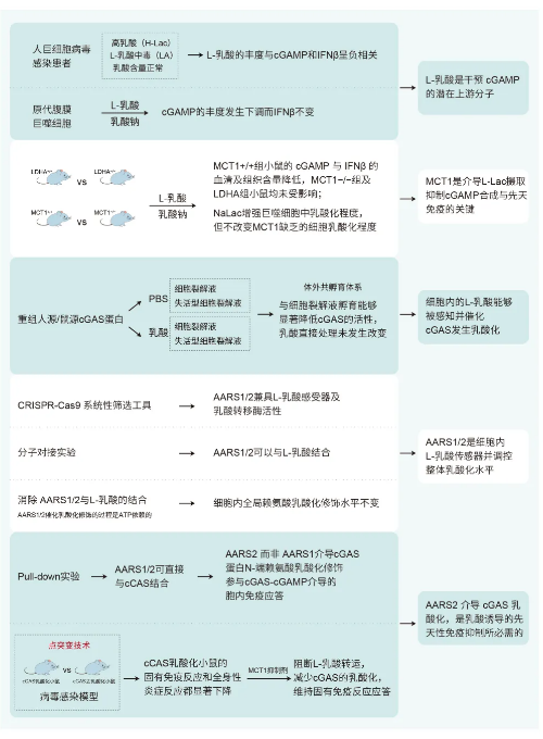 新闻图片2