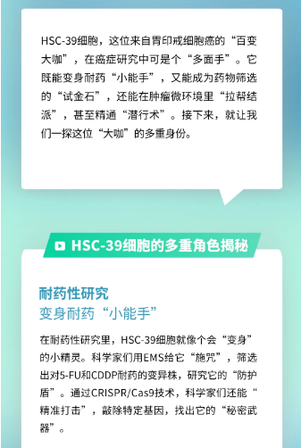 新聞圖片2