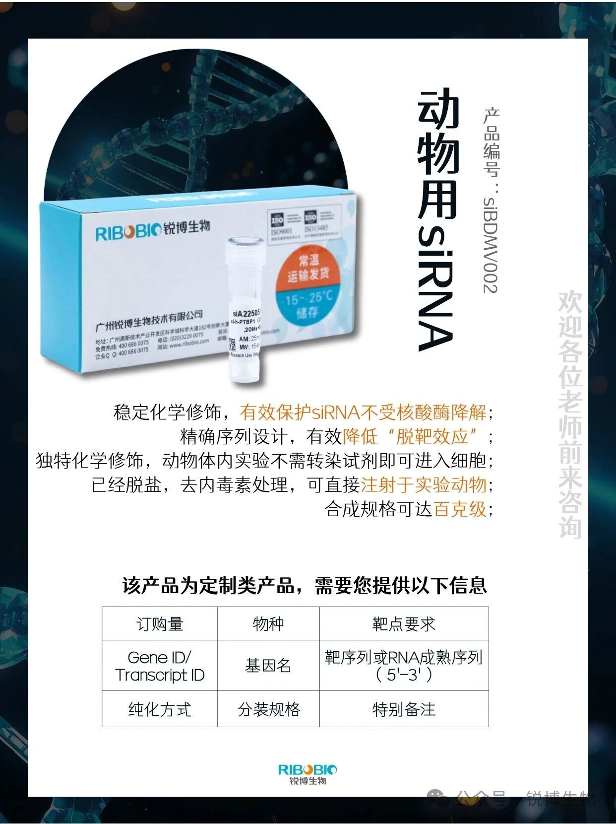 产品推荐 | 动物siRNA实验
