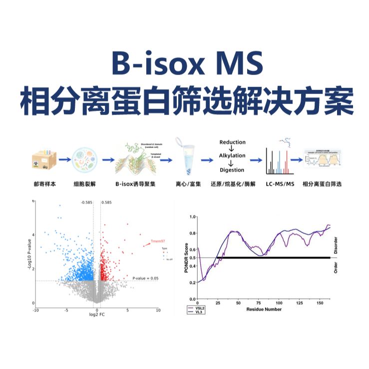 谱度众合-相分离（LLPS）蛋白筛选服务