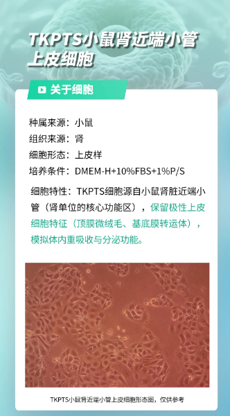 新闻图片1