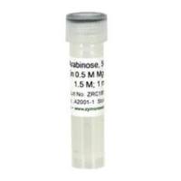 500x L-Arabinose Solution (500倍浓缩L-阿拉伯糖溶液)