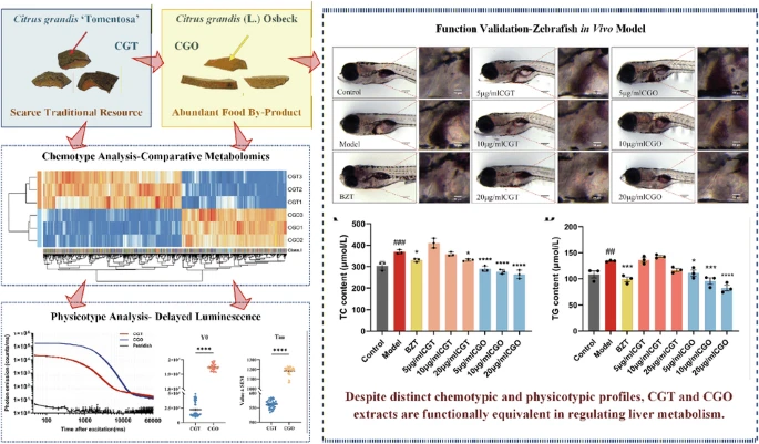 BMG LABTECH多功能酶标仪文献分享,长春中医药大学团队发表在NPJ Science of Food “Valorizing common pomelo peel by-product via a multi-dimensional framework: a functionally equivalent alternative to a rare botanical for liver h