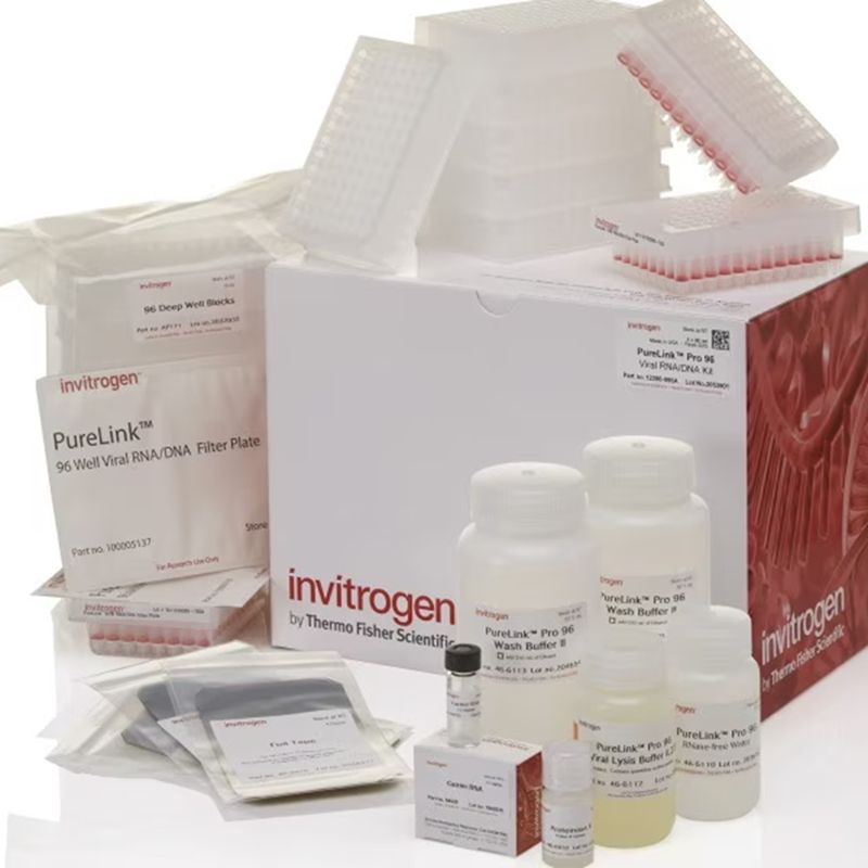 12280096A赛默飞PureLink Pro 96病毒RNA/DNA纯化提取试剂盒Thermo Fisher Scientific Invitrogen