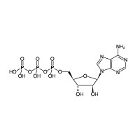 阿拉伯腺苷5'-三磷酸(ara-ATP)(水溶液),3714-60-1,≥95%,阿拉丁