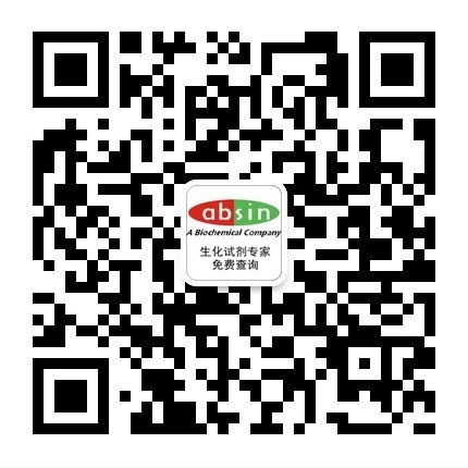 新闻图片2
