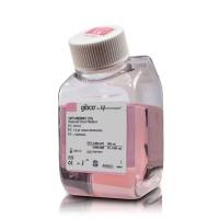 赛默飞减血清培养基31985070/31985088/31985062 Thermo Fisher Gibco Opti-MEM