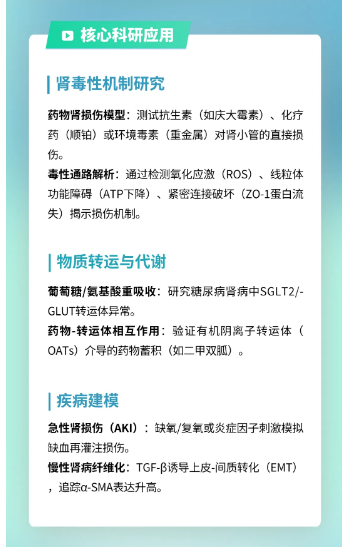 新闻图片2