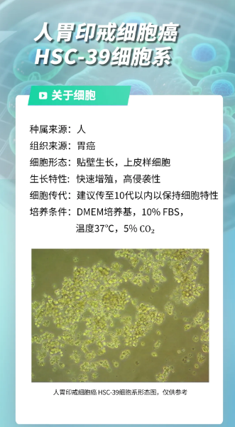 新聞圖片1