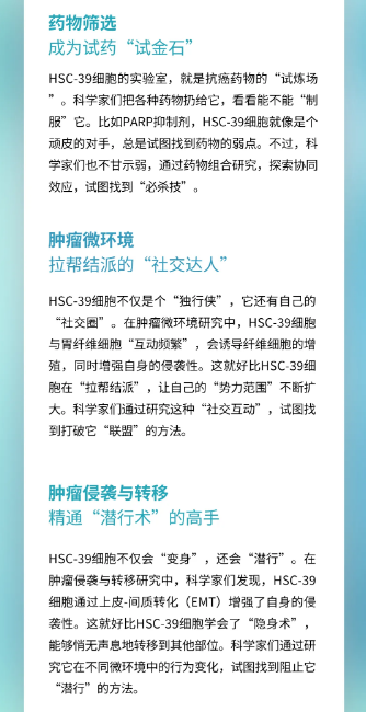 新聞圖片3
