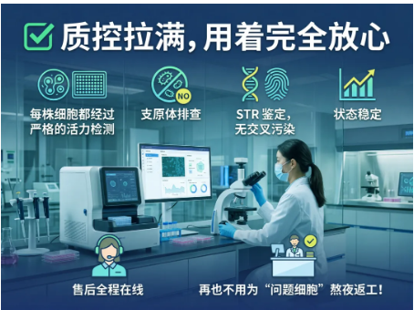 新闻图片3