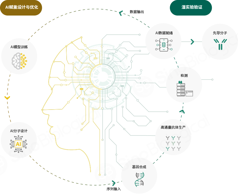 新闻图片1