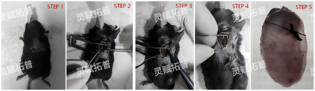 操作.png