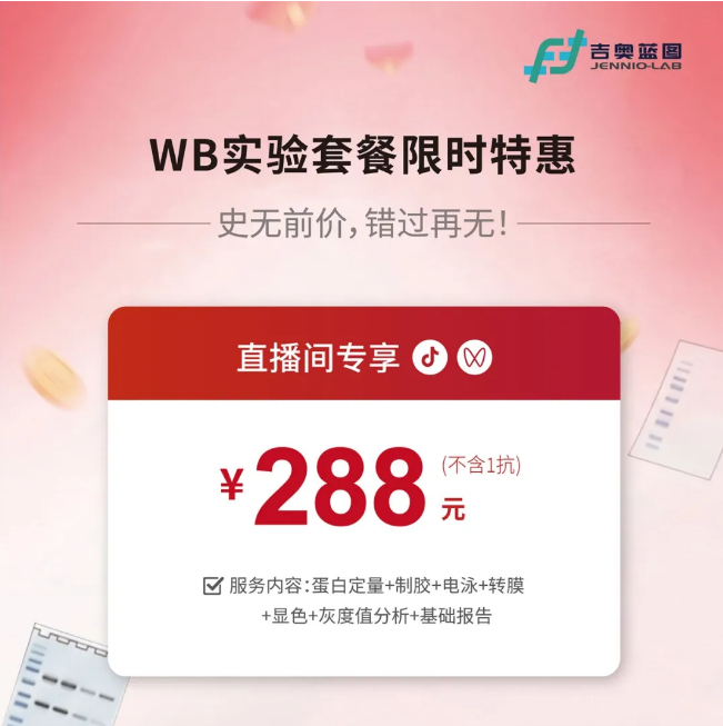 新闻图片4