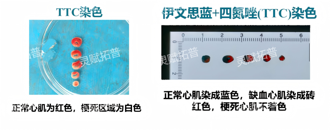 WPS拼圖0.png