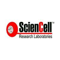 Absolute Mouse Telomere Length and Mitochondrial