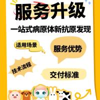 一站式病原体新抗原发现