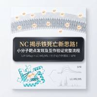 院士团队新作：NC揭示铁死亡新思路！LiP-SMap+LC-MS/MS联合分子动力学模拟与SPR，构建小分子靶点发现及互作验证完整流程