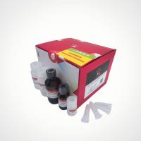 雅礼生物 YALEPIC Tryzol Plus 柱式提取试剂盒(不含DNase I)