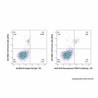 Recombinant P2RY12 Antibody,已验证,PBS Only,≥95%(SDS-PAGE),见COA,阿拉丁