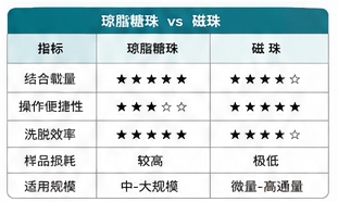新闻图片2