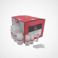 多糖多酚植物基因组DNA提取试剂盒(含RNase A)