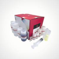 无内毒素质粒DNA大量提取试剂盒(PLUS)(100-300ml)