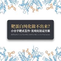 靶蛋白纯化做不出来,小分子靶点互作还能怎么验证?