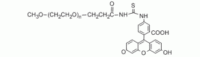 Fluorescein PEG, mPEG-FITC,≥95%, MW 5000 Da,阿拉丁