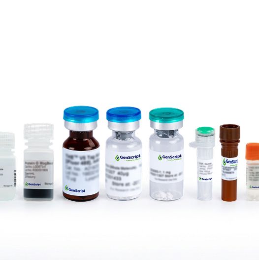 MonoRab™ Anti-Pembrolizumab Antibody(90G12)[Biotin], mAb, Rabbit产品图