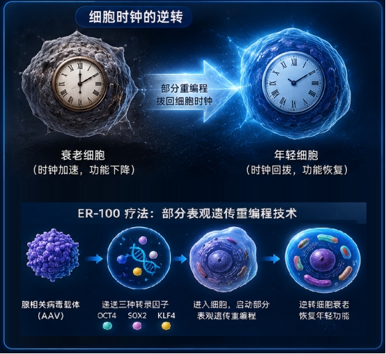 新闻图片1