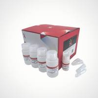 YALEPIC® 血液RNA提取试剂盒（不含DNase I）