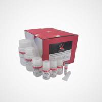 血液基因组DNA小量提取试剂盒(不含RNase A)- 0.1~1ml 新鲜或冷冻抗凝全血、血浆、血清
