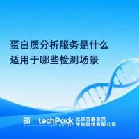 蛋白质分析服务是什么适用于哪些检测场景