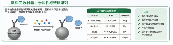 新闻图片1