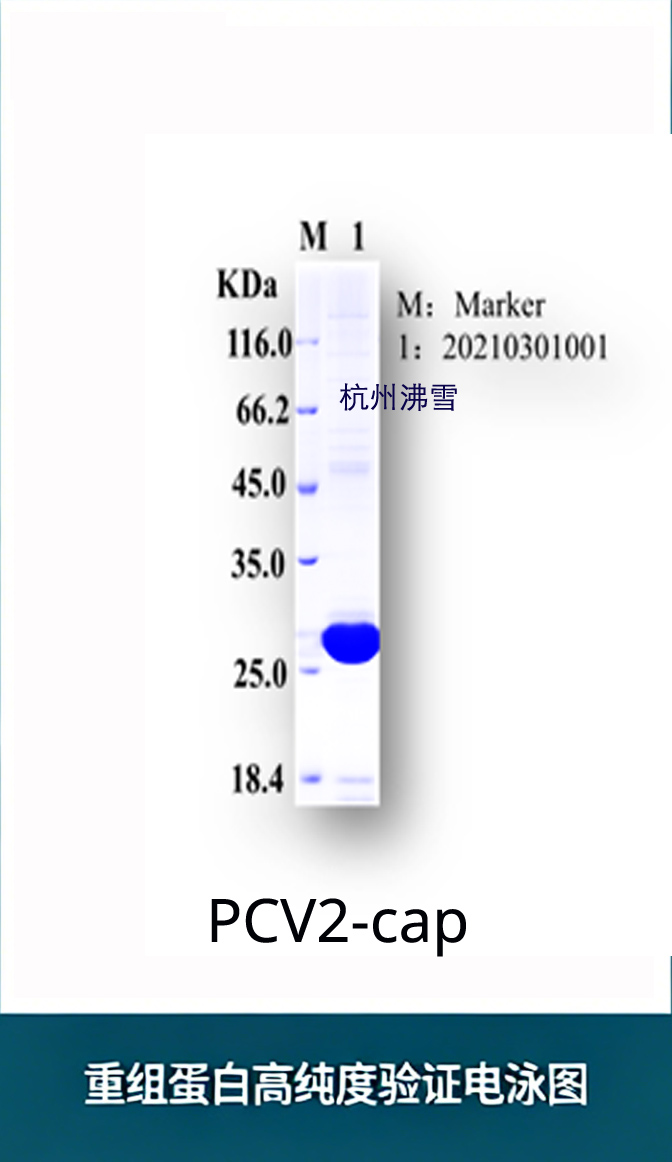 新闻图片1