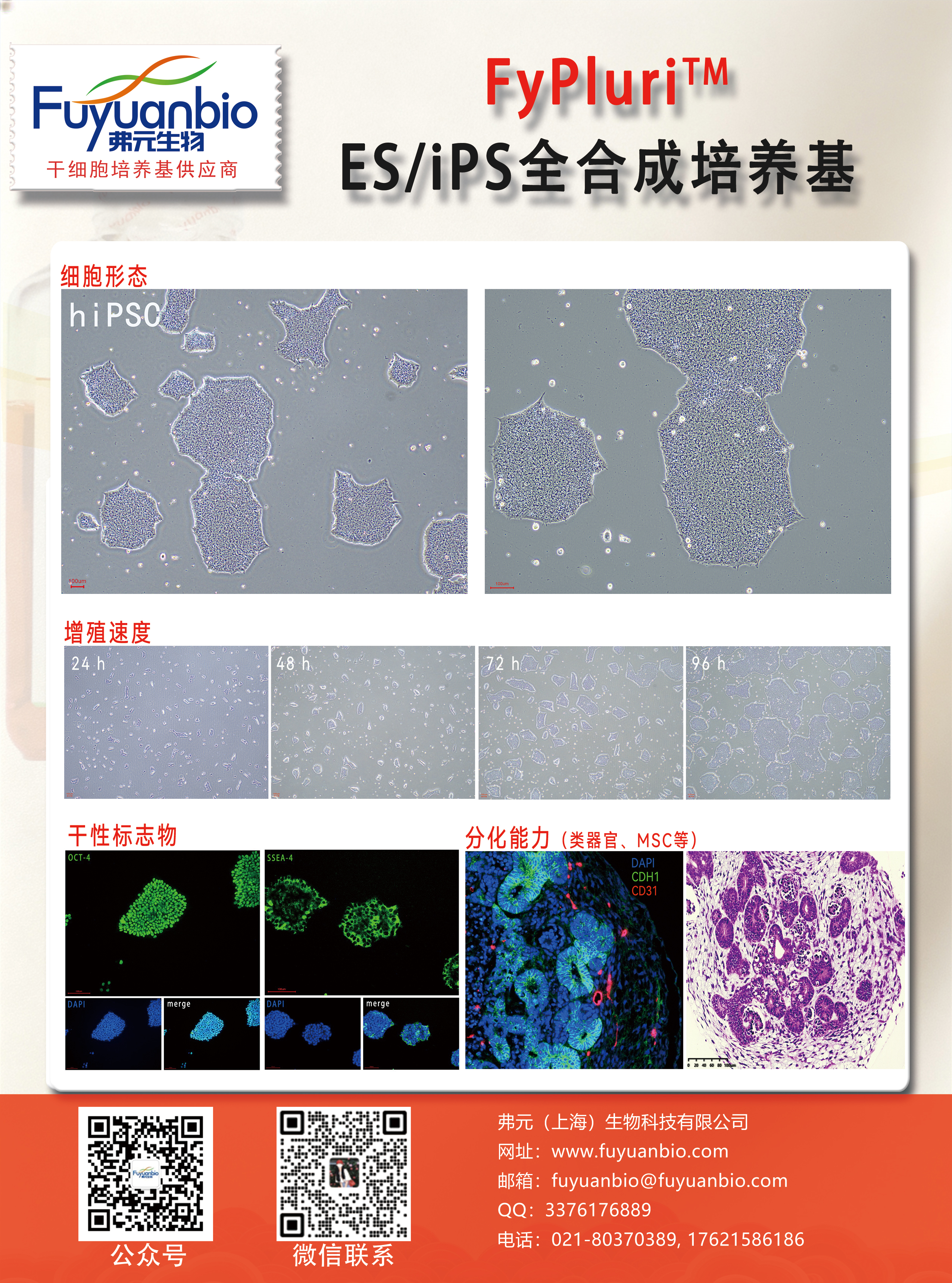 新闻图片3