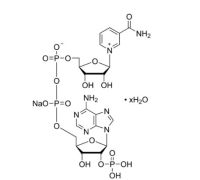 三磷酸吡啶核苷酸 钠盐 水合物，698999-85-8，≥98%(HPLC)，阿拉丁