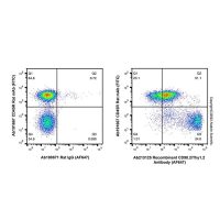 Recombinant CD90.2/Thy1.2 Antibody (AF647)，ExactAb™, 已验证, Ex:650nm, Em:668nm, 0.5 mg/mL，阿拉丁