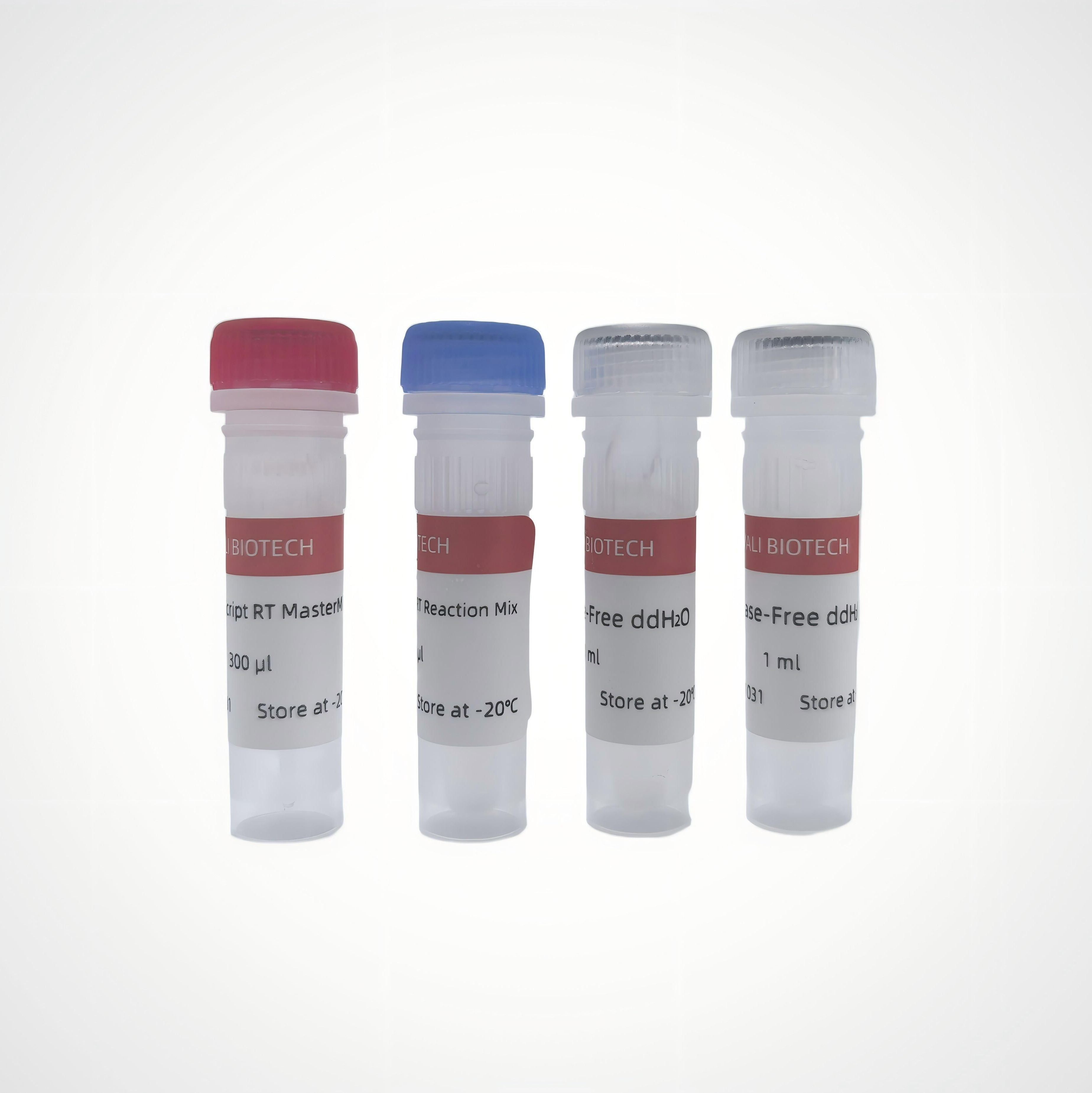 YALEPIC® All-in-Mix cDNA 第一链合成试剂盒(gDNA off)| 预混双Mix (qPCR/PCR通用)
