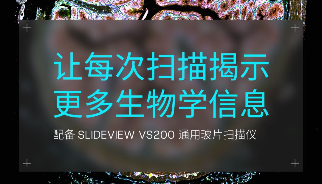 VS200重磅升级，10色荧光适配多学科研究！