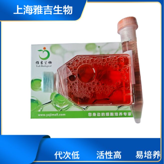产品封面图